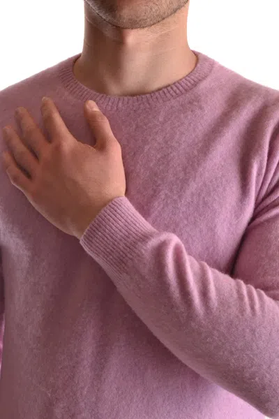 Altea Sweaters Pink In Pink