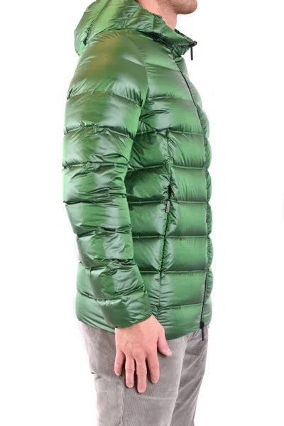 Rrd Green In Green