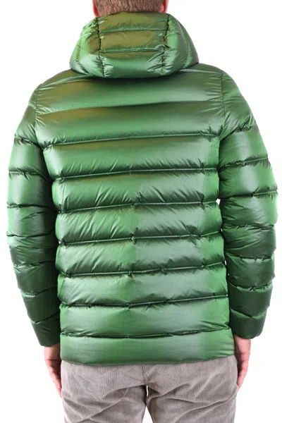 Rrd Green In Green