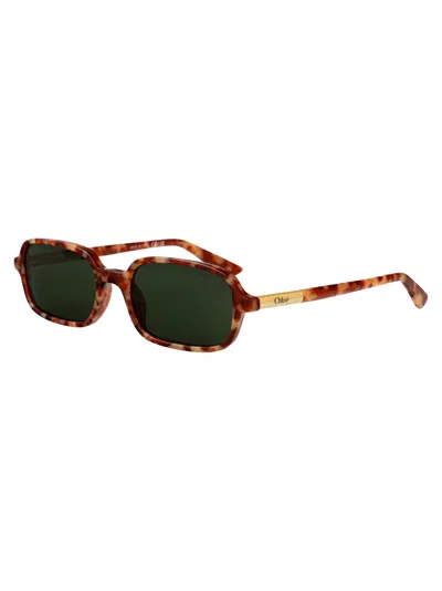 Chloé Chloe Rectangular Sunglasses Ch0363 S 003 In Brown