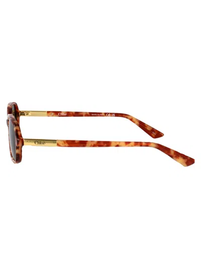 Chloé Chloe Rectangular Sunglasses Ch0363 S 003 In Brown