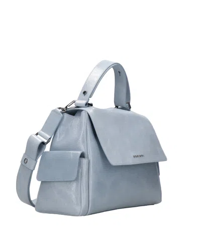 Orciani Bags.. In Blue