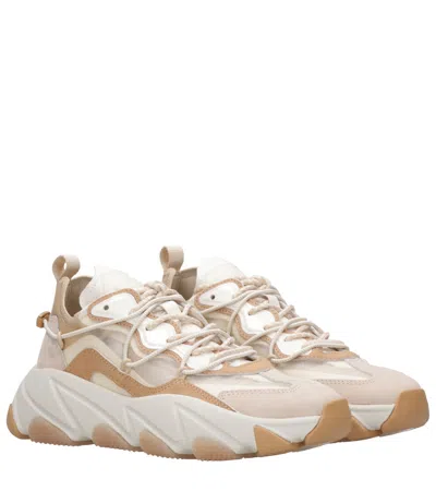 Ash Sneakers In White