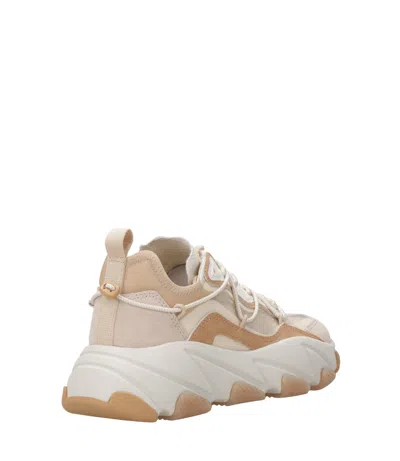 Ash Sneakers In White