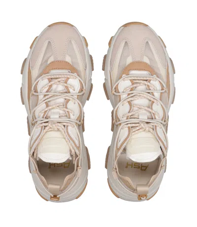 Ash Sneakers In White