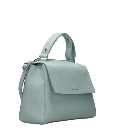 Orciani Bags.. In Blue