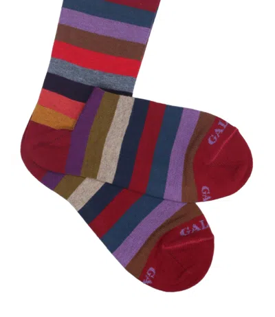 Gallo Underwear In Multi