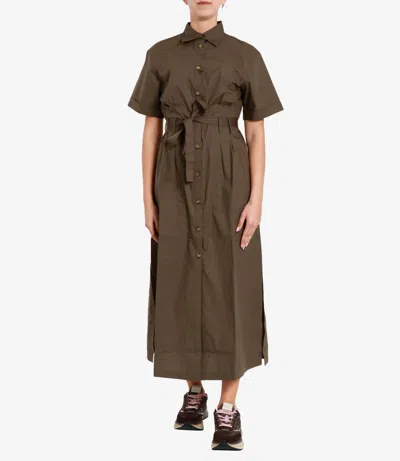 Blauer Dresses Olive In Brown