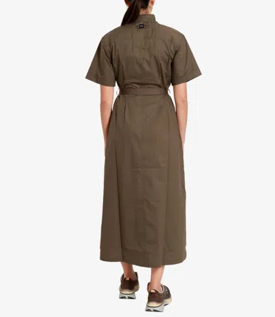 Blauer Dresses Olive In Brown