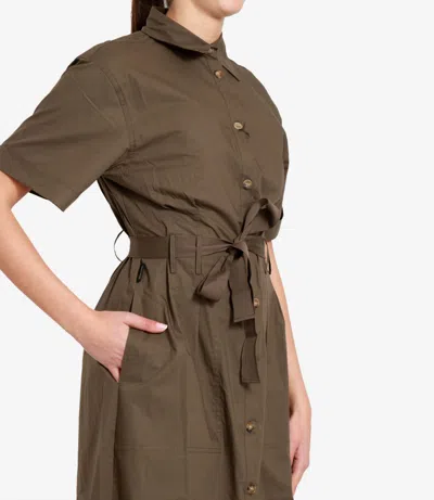 Blauer Dresses Olive In Brown