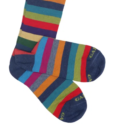 Gallo Underwear In Multi