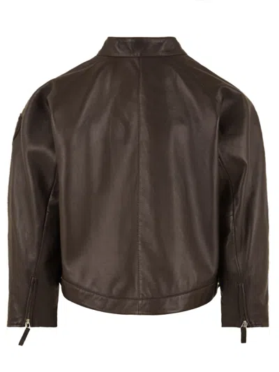 Blauer Coats In Brown