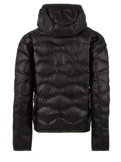 Blauer Coats In Black