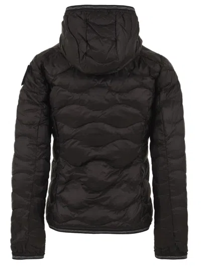 Blauer Coats In Black
