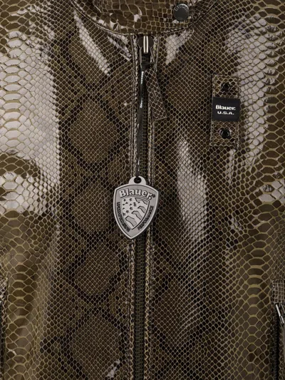 Blauer Coats Green In Multi