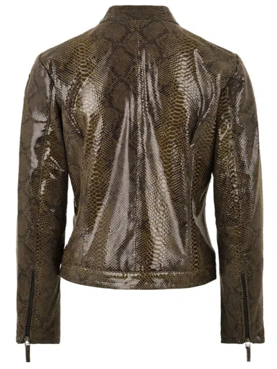 Blauer Coats Green In Multi