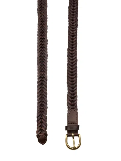 Dragon Diffusion Belts In Dark Brown