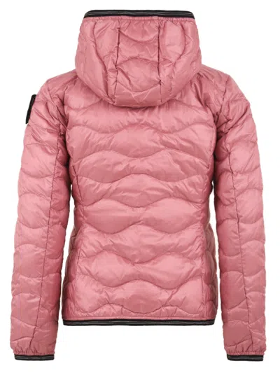 Blauer Coats Pink In Pink