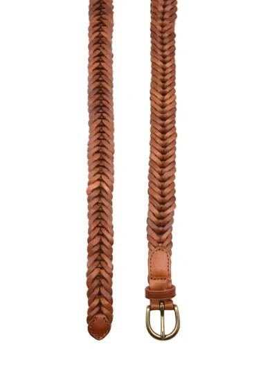 Dragon Diffusion Belts Brown In Brown