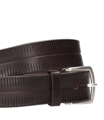 Orciani Belts Brown In Brown
