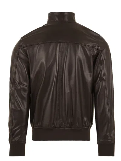 Blauer Coats In Brown