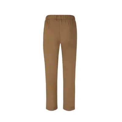Herno Plain Technical Joggers In Brown