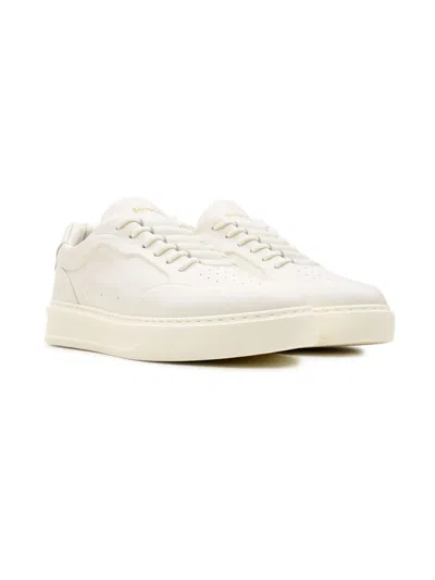 Barracuda Sneakers In Multi