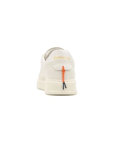 Barracuda Sneakers In Multi