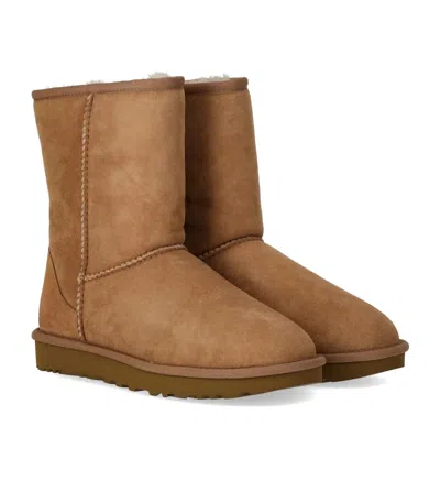 Ugg Classic Short Ii Chestnut Boot In Brown