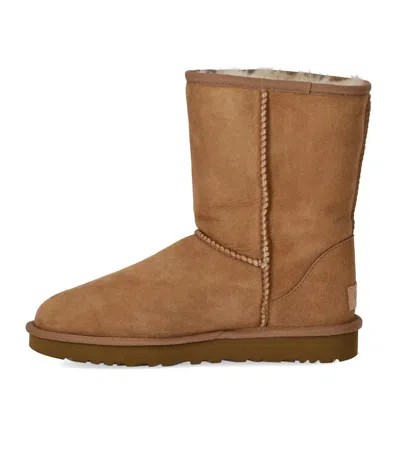 Ugg Classic Short Ii Chestnut Boot In Brown