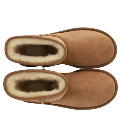 Ugg Classic Short Ii Chestnut Boot In Brown