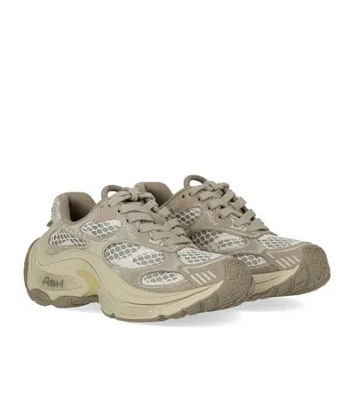 Ash Dragon Grey Sneaker In Neutral