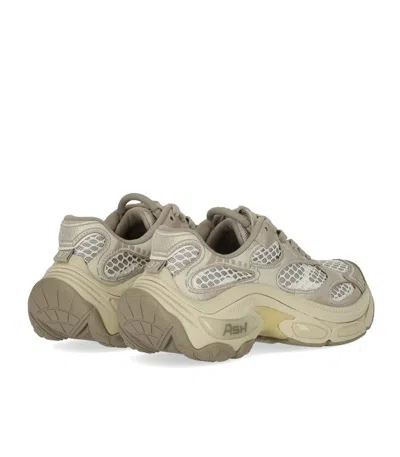 Ash Dragon Grey Sneaker In Neutral