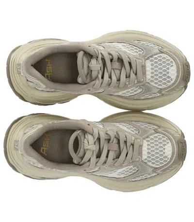 Ash Dragon Grey Sneaker In Neutral