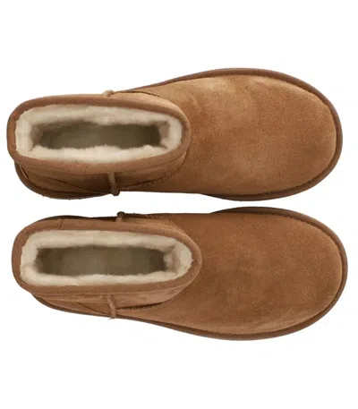 Ugg Classic Mini Platform Chestnut Boot In Multi