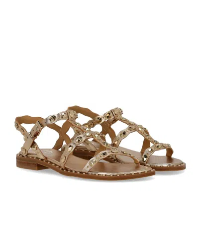 Ash Plus Studded Strap Sandals In Multi