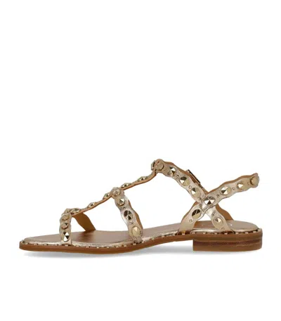 Ash Plus Studded Strap Sandals In Multi