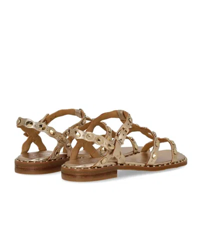 Ash Plus Studded Strap Sandals In Multi