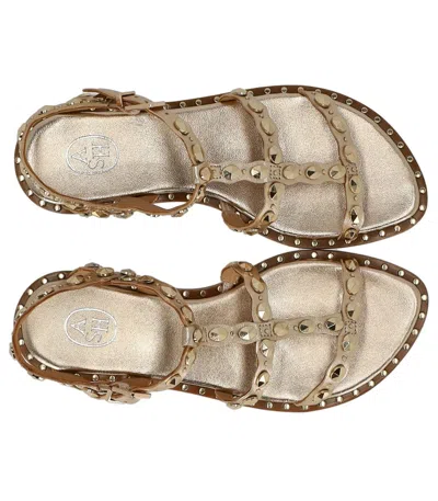 Ash Plus Studded Strap Sandals In Multi