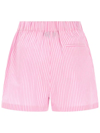 Msgm Shorts Con Logo In Pink