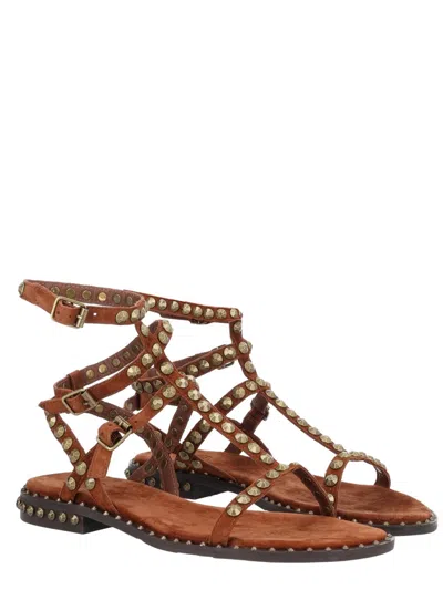 Ash Play Studded-strap Sandals In Brown