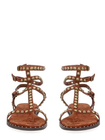 Ash Play Studded-strap Sandals In Brown