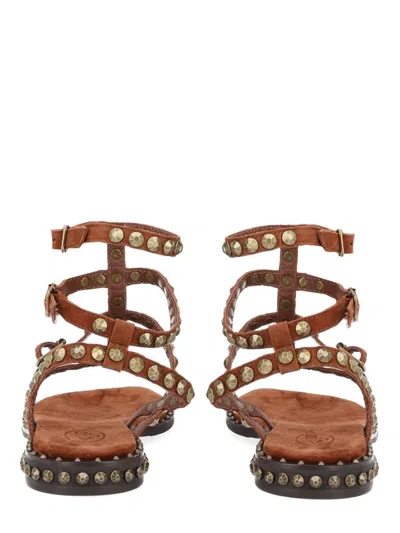 Ash Play Studded-strap Sandals In Brown
