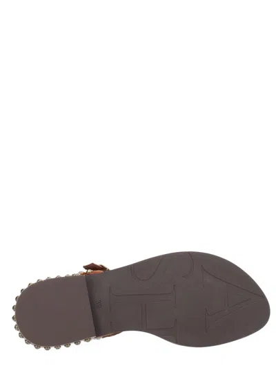 Ash Play Studded-strap Sandals In Brown