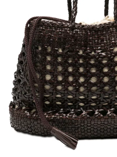 Dragon Diffusion In Brown