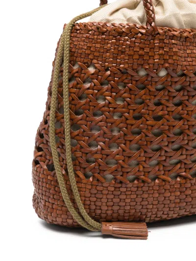 Dragon Diffusion In Brown