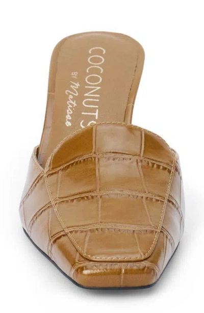 Coconuts By Matisse Davey Kitten Heel Mule In Brown