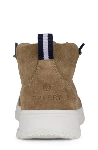 Sperry Kids' Wallace Chukka Boot In Multi