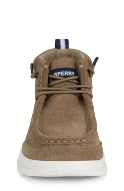 Sperry Kids' Wallace Chukka Boot In Multi