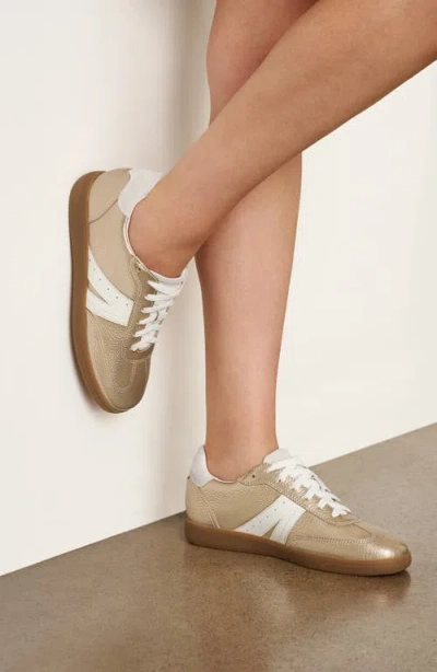 Frankie4 Levi Sneaker In Multi
